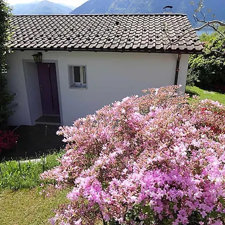 Residenza Paradiso Di Vacanze 2* לוקרנו