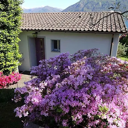 Residenza Paradiso Di Vacanze לוקרנו