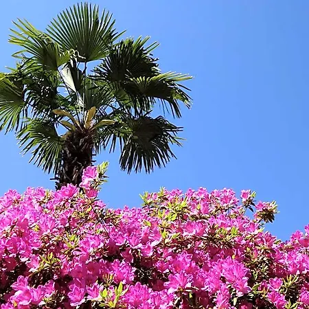 מלון Residenza Paradiso Di Vacanze 2*